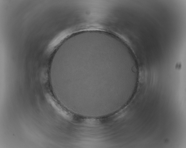 X0000111931407200907271302