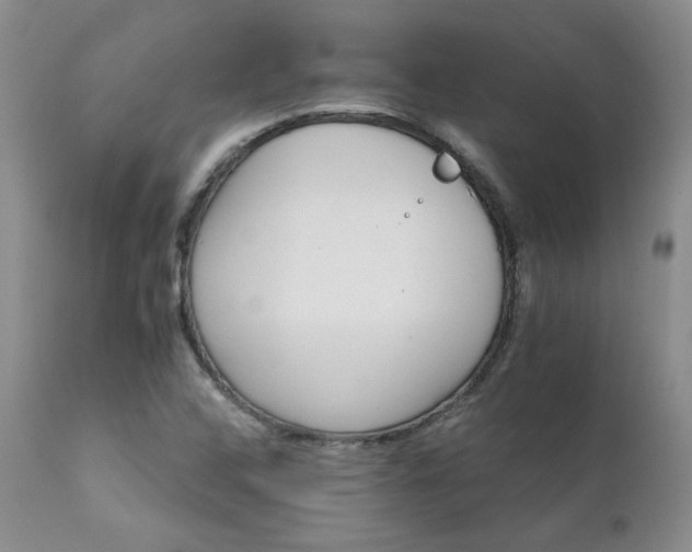 X0000111931408200907271302