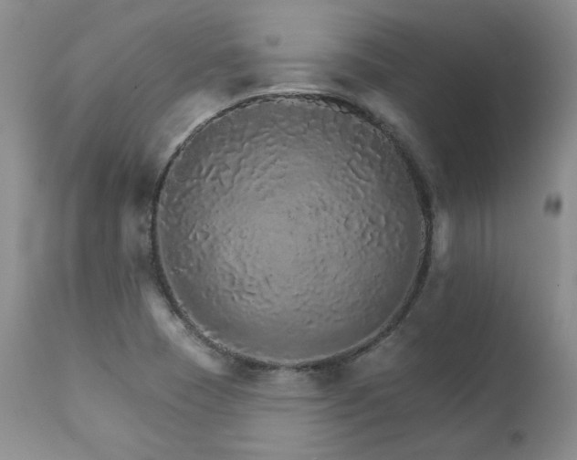 X0000111931409200907271302