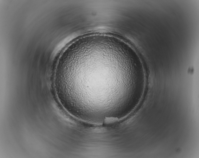X0000111931410200907271302