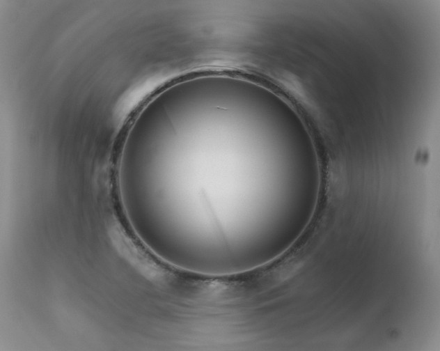 X0000111931412200907271302
