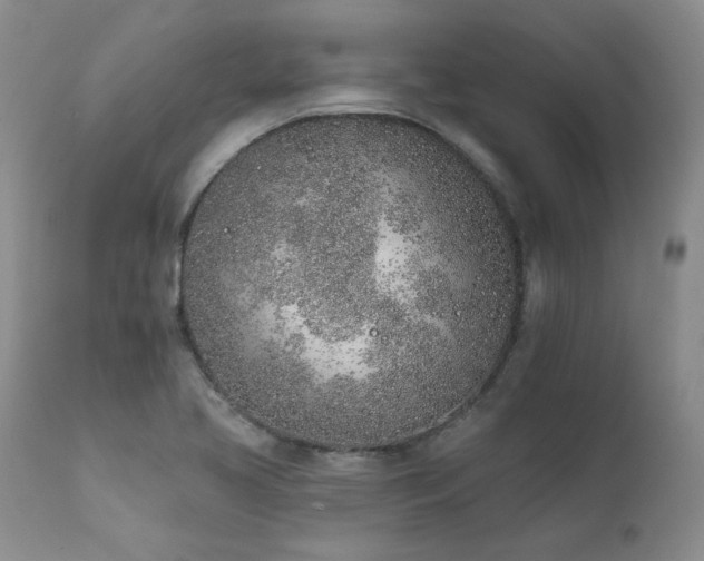 X0000111931413200907271302