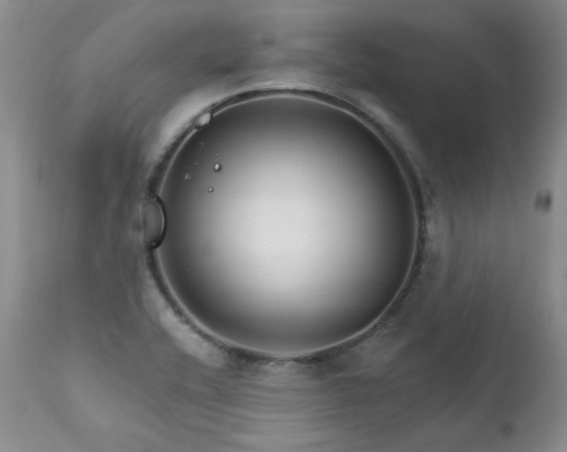 X0000111931416200907271302
