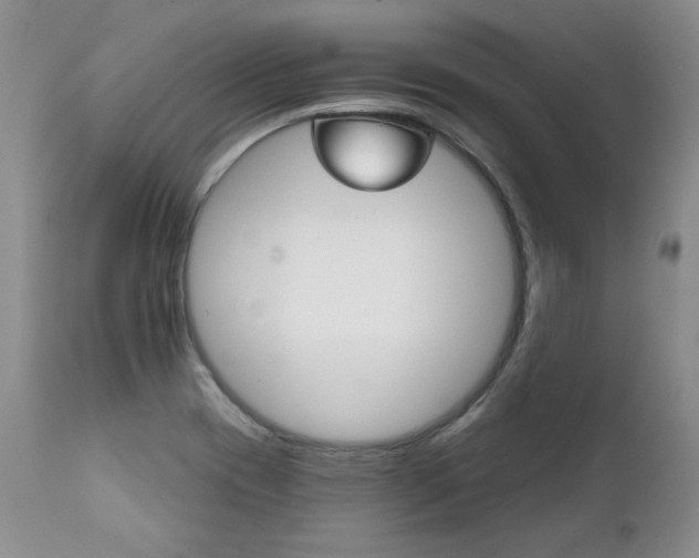 X0000111931417200907271302