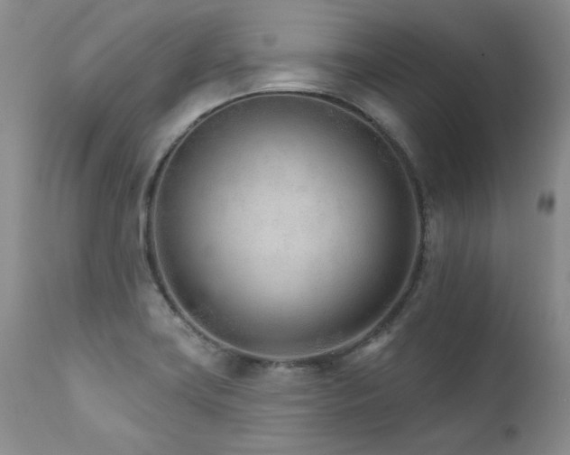 X0000111931419200907271302