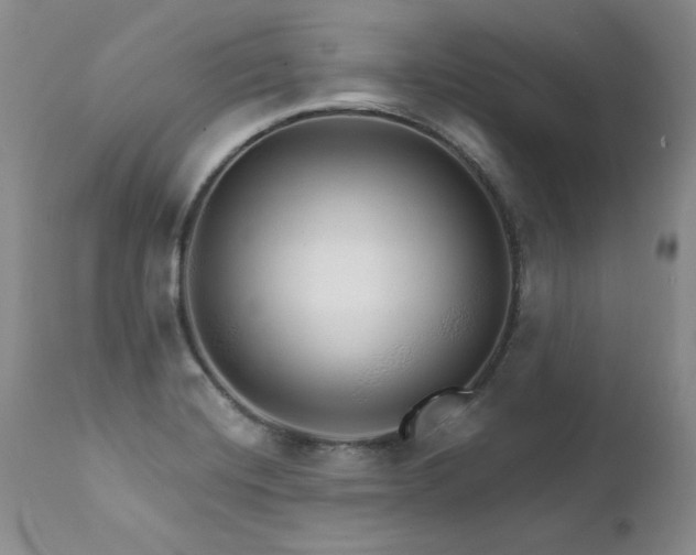 X0000111931420200907271302