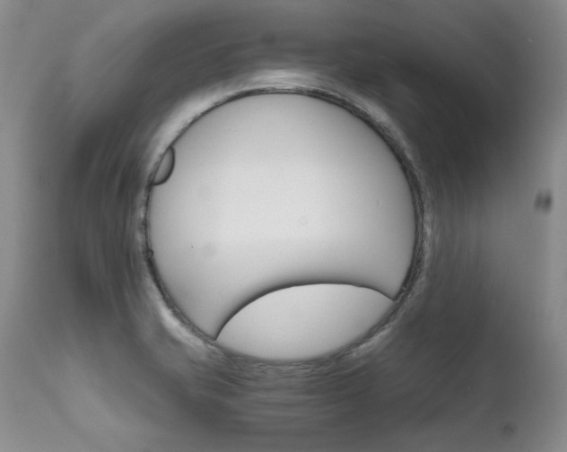 X0000111931421200907271302