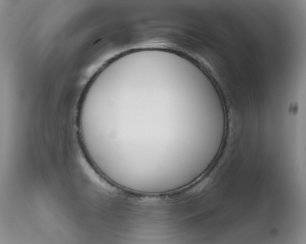 X0000111931422200907271302