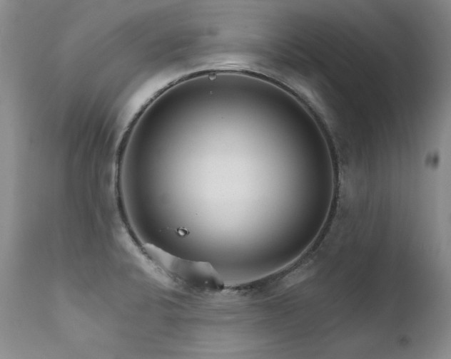 X0000111931424200907271302