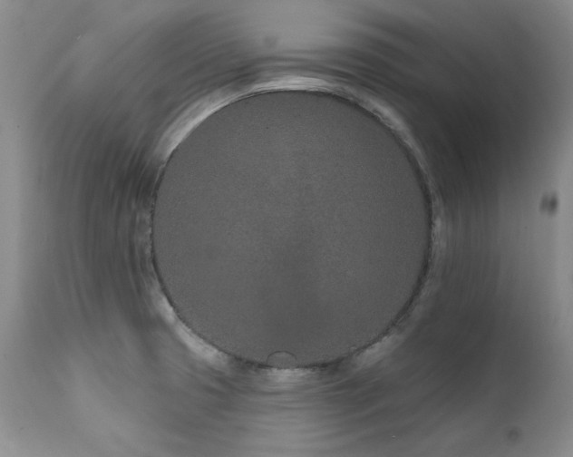 X0000111931425200907271302