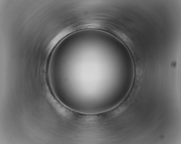 X0000111931426200907271302