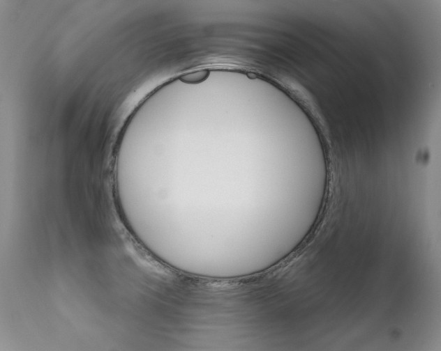 X0000111931427200907271302