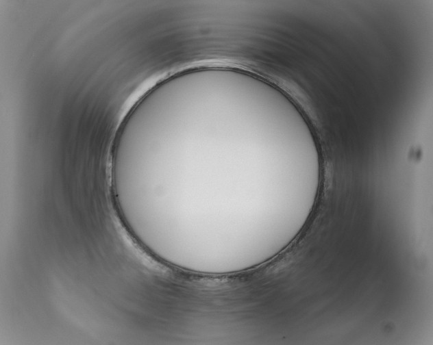 X0000111931428200907271302