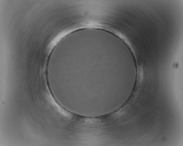 X0000111931429200907271302
