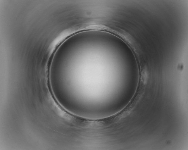 X0000111931430200907271302