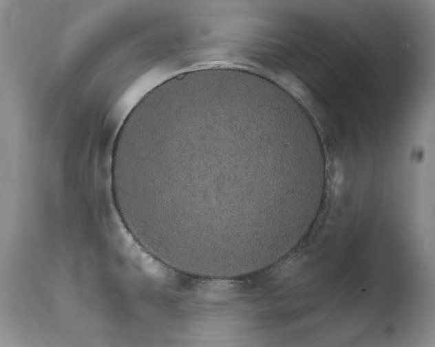 X0000111931431200907271302