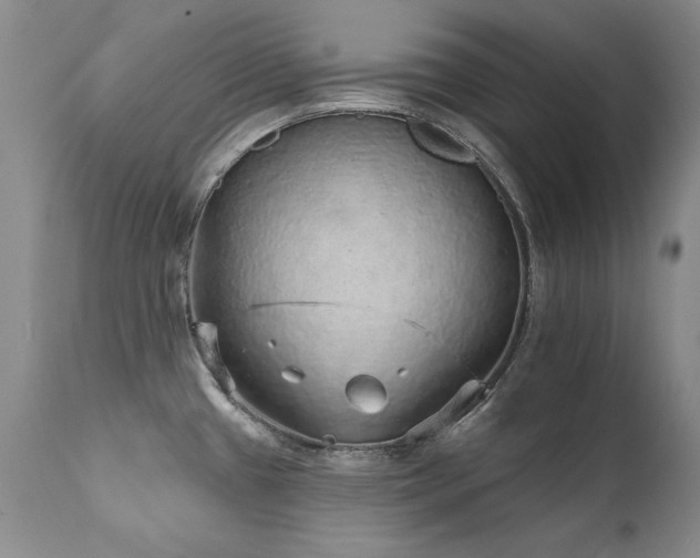 X0000111931433200907271303