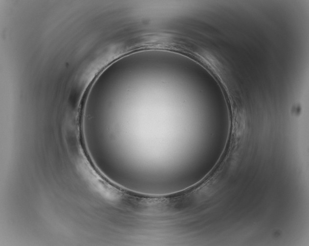 X0000111931434200907271303