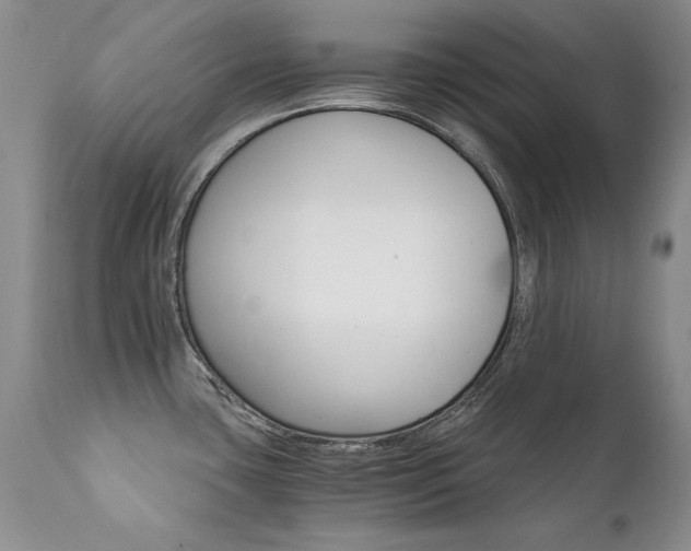 X0000111931435200907271303