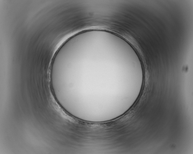 X0000111931436200907271303