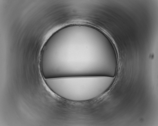 X0000111931437200907271303