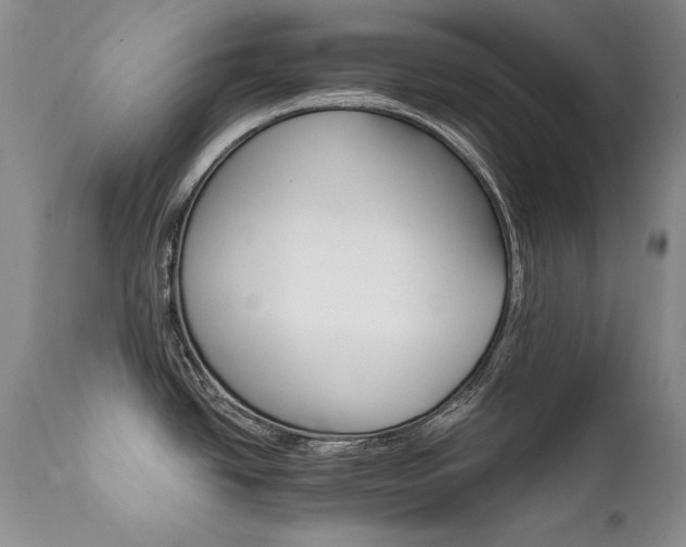 X0000111931438200907271303