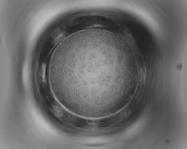 X0000111931439200907271303