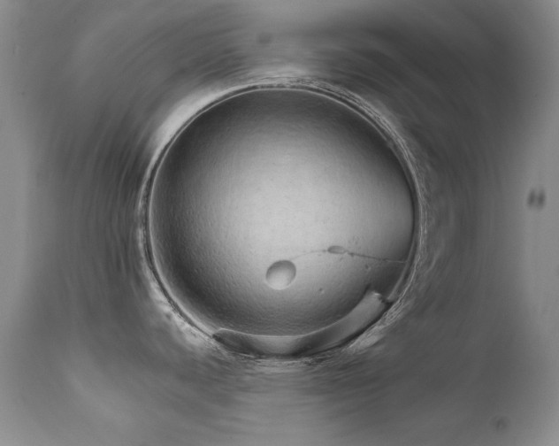 X0000111931440200907271303