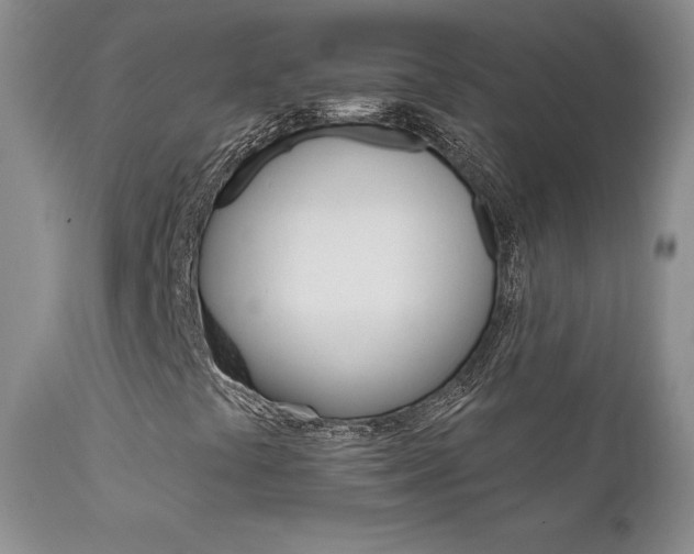 X0000111931441200907271302