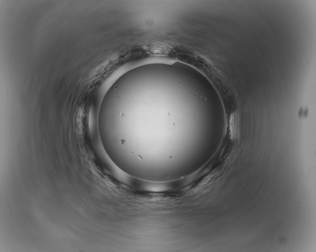 X0000111931443200907271302