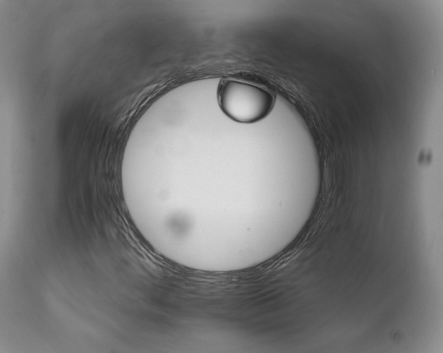 X0000111931444200907271302