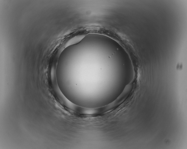 X0000111931445200907271302