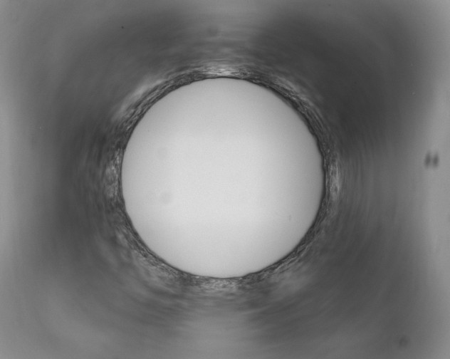 X0000111931446200907271302