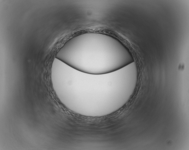 X0000111931447200907271302