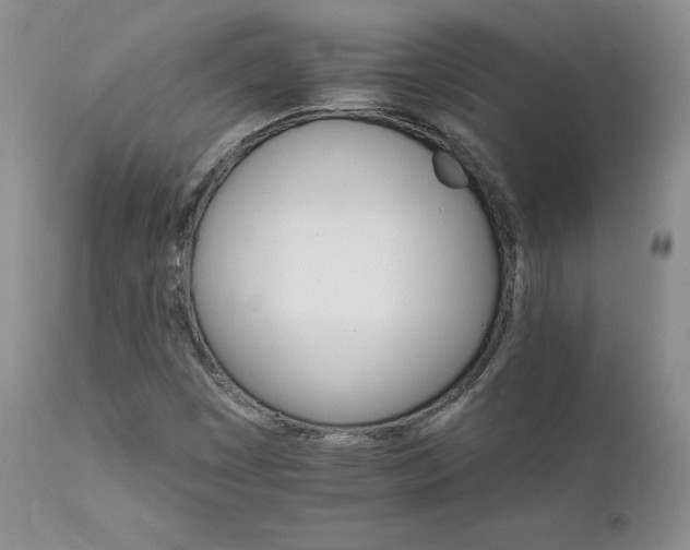 X0000111931449200907271302