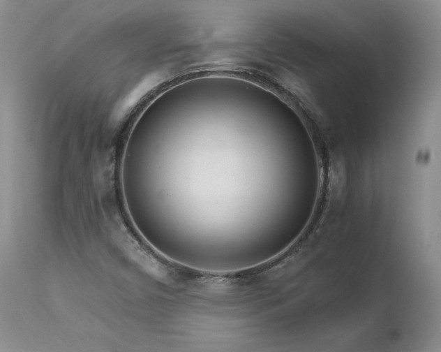 X0000111931450200907271302