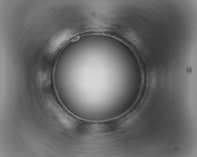 X0000111931451200907271302