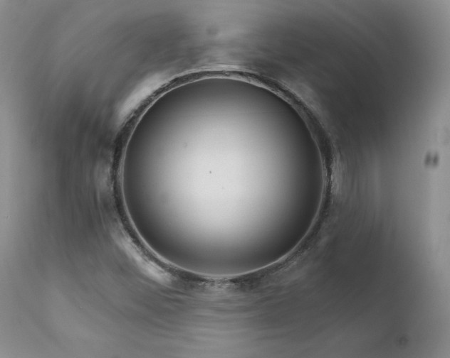 X0000111931452200907271302