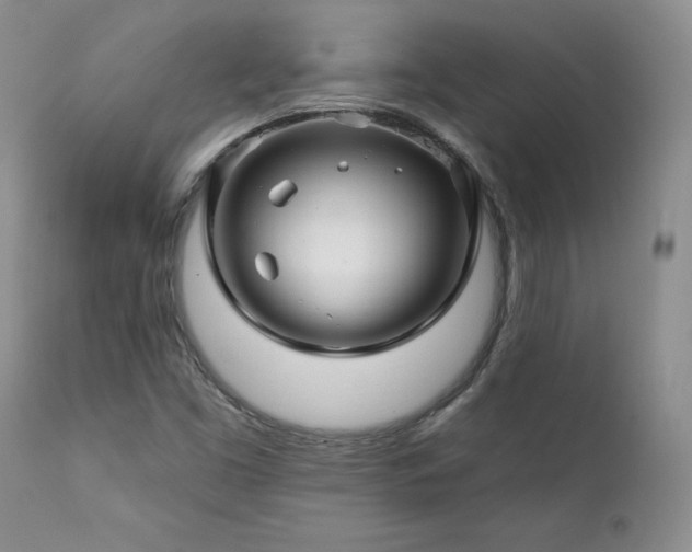 X0000111931453200907271302