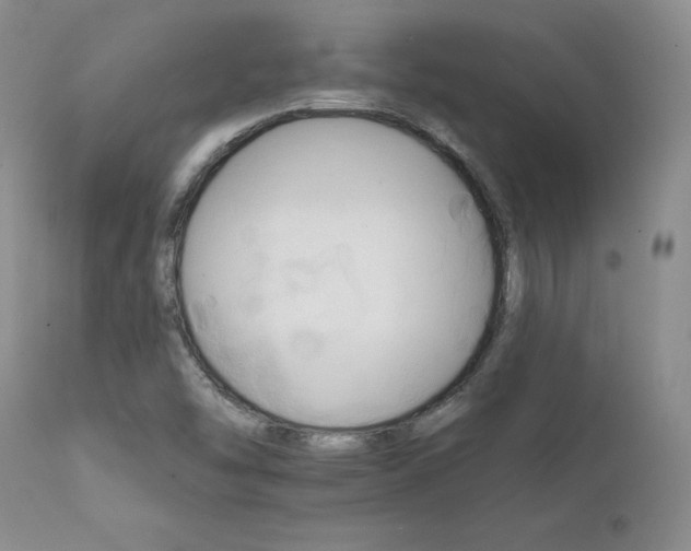 X0000111931454200907271302