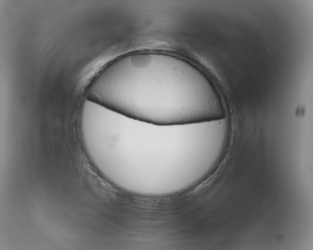 X0000111931455200907271302