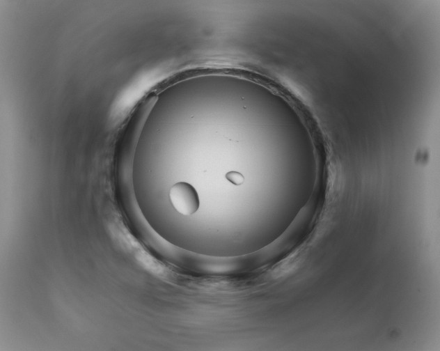 X0000111931456200907271302