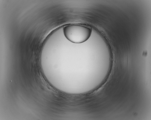 X0000111931457200907271302