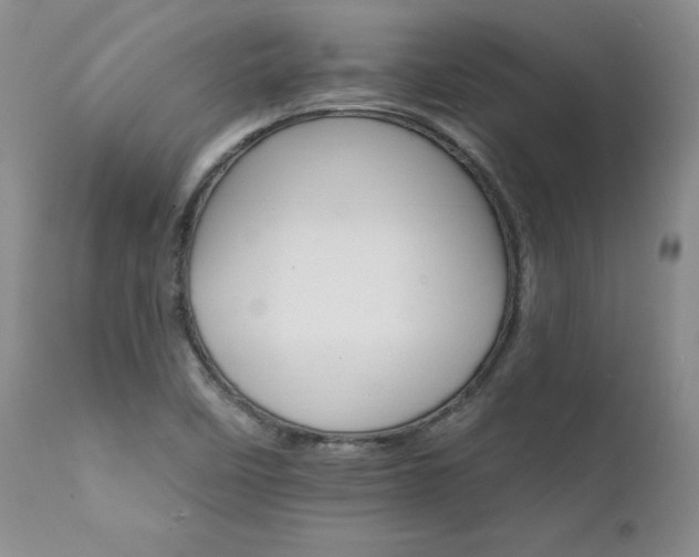 X0000111931458200907271302