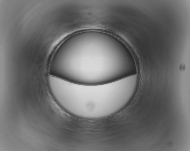 X0000111931460200907271302