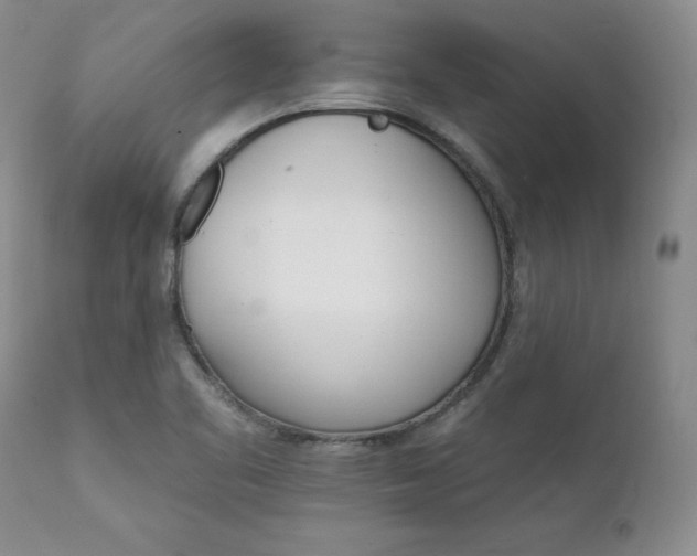 X0000111931461200907271302