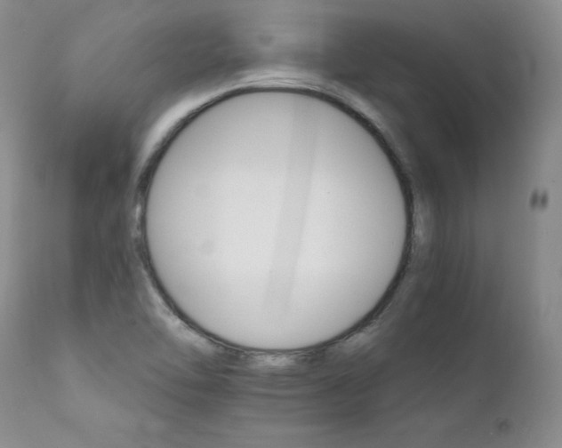 X0000111931462200907271302