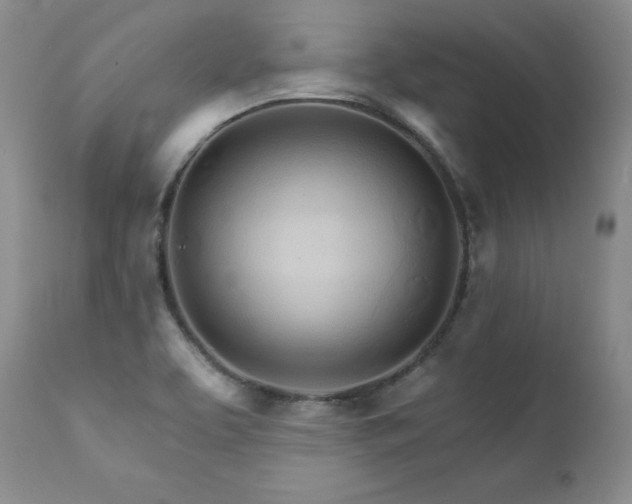 X0000111931463200907271301
