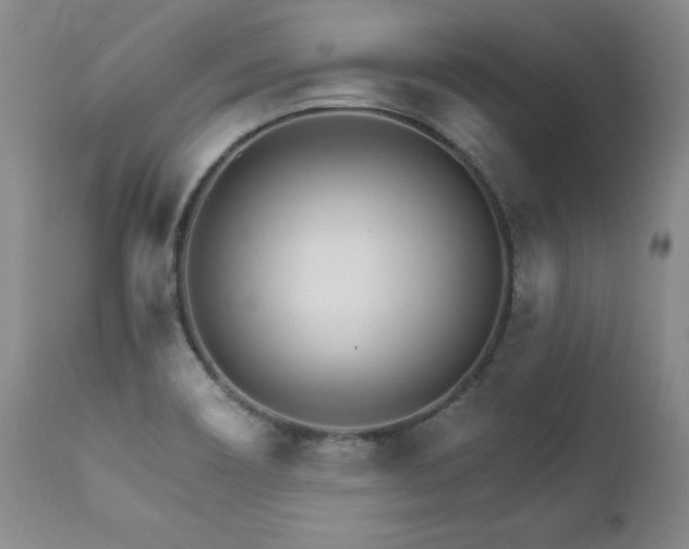 X0000111931466200907271301