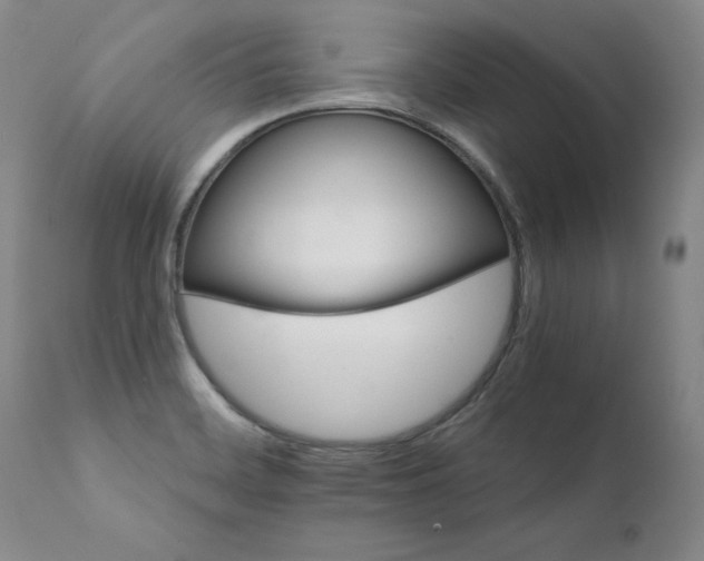 X0000111931468200907271301
